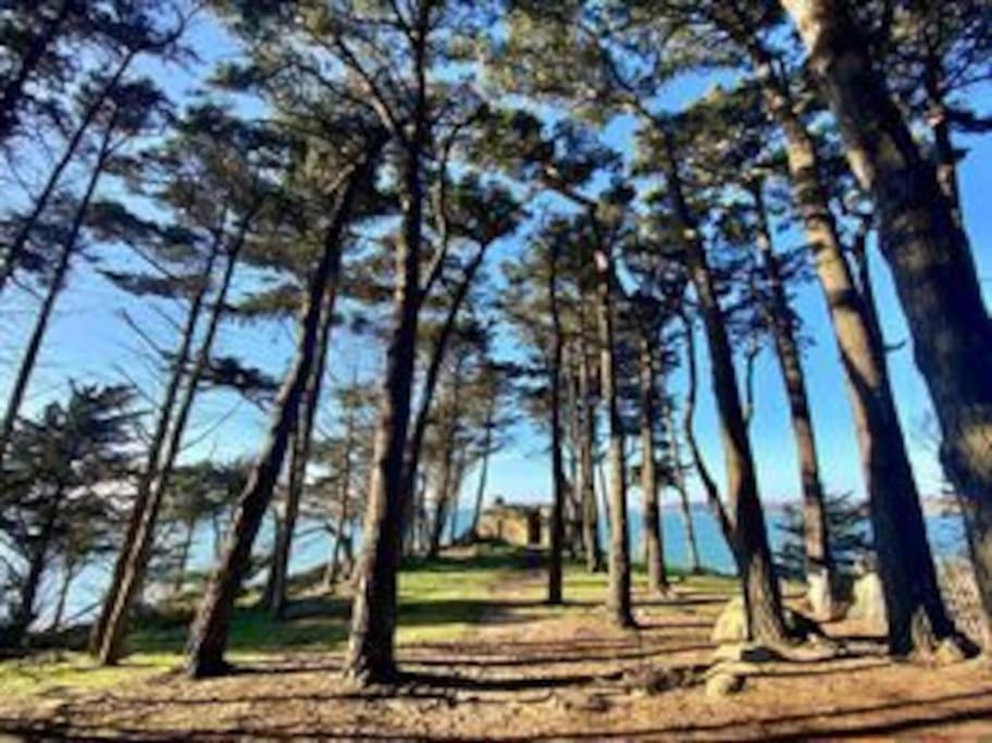 Juliette, Vue Mer, Acces Plages A Pieds Ferienhaus